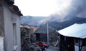 Incendio en los montes