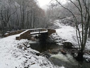 Puente de la Veneira